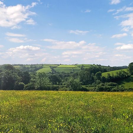 Vila Ynywsen Dairy Flat Llanfynydd Exteriér fotografie